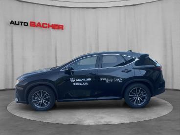 LEXUS-NX-253361_3.JPG 