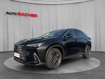 LEXUS-NX-256848_1.JPG 