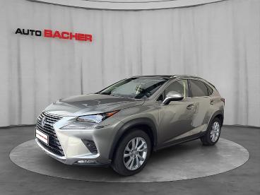 LEXUS-NX-258977_1.JPG 