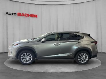 LEXUS-NX-258977_3.JPG 