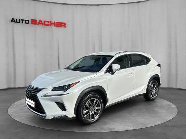 LEXUS-NX-261492_1.JPG 