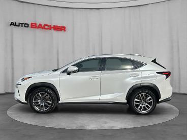 LEXUS-NX-261492_3.JPG 