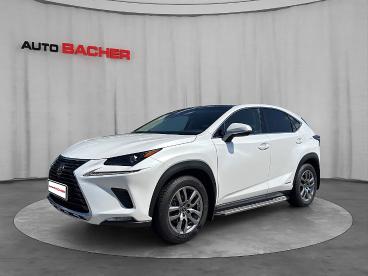 LEXUS-NX-270697_1.JPG 