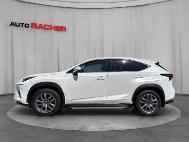 LEXUS-NX-270697_2.JPG 