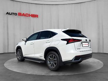 LEXUS-NX-270697_3.JPG 