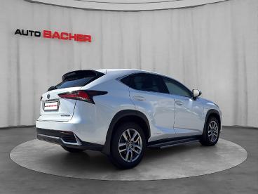 LEXUS-NX-270697_5.JPG 