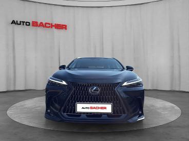 LEXUS-NX-272331_2.JPG 
