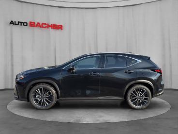 LEXUS-NX-272331_3.JPG 