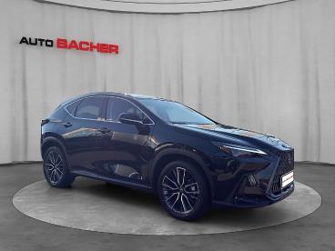 LEXUS-NX-272331_4.JPG 