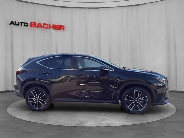 LEXUS-NX-272331_5.JPG 