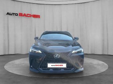 LEXUS-NX-272691_2.JPG 