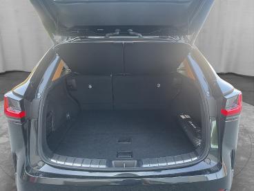 LEXUS-NX-272691_5.JPG 