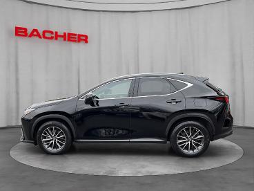 LEXUS-NX-277387_2.JPG 