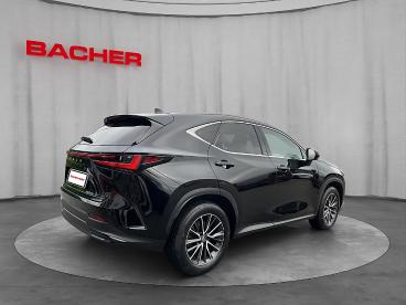 LEXUS-NX-277387_5.JPG 