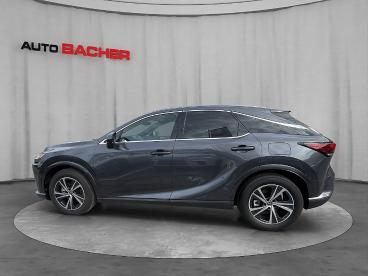 LEXUS-RX-267254_3.JPG 