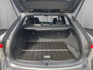 LEXUS-RX-267254_5.JPG 