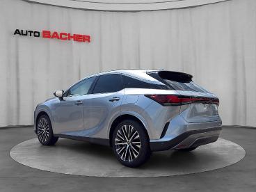 LEXUS-RX-270882_3.JPG 
