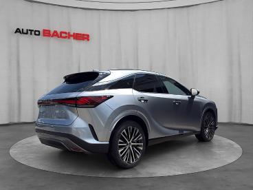 LEXUS-RX-270882_5.JPG 