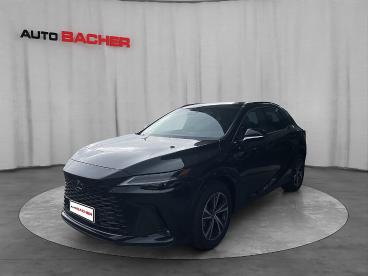 LEXUS-RX-270974_1.JPG 