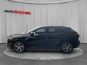 LEXUS-RX-270974_3.JPG 