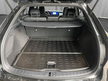 LEXUS-RX-270974_5.JPG 