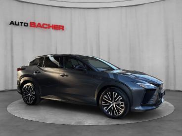 LEXUS-RZ-267512_4.JPG 