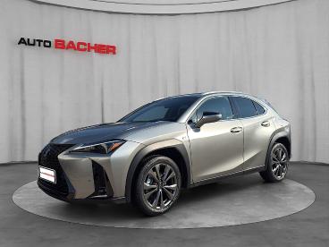 LEXUS-UX-270975_1.JPG 