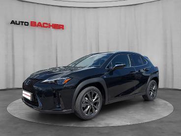 LEXUS-UX-275228_1.JPG 