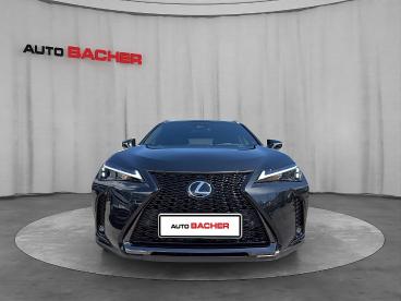 LEXUS-UX-275228_2.JPG 