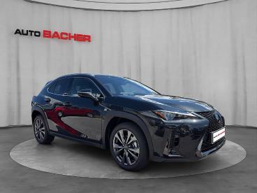 LEXUS-UX-275228_4.JPG 