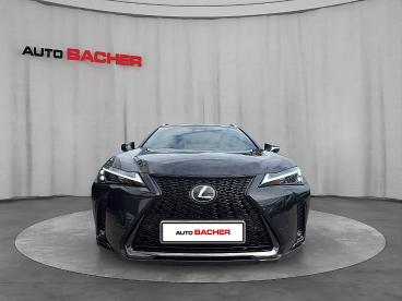 LEXUS-UX-275293_2.JPG 