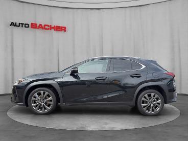 LEXUS-UX-275293_3.JPG 