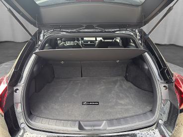 LEXUS-UX-275293_5.JPG 
