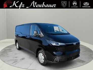 MAXUS-DELIVER-276682_1.JPG 