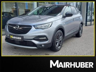 OPEL-GRANDLAND-260907_1.JPG 