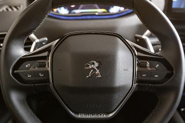 PEUGEOT-3008-255506_5.JPG 