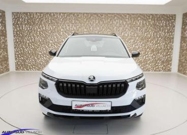 SKODA-KAMIQ-241102_3.JPG 