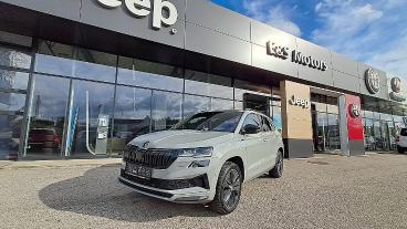 SKODA-KAROQ-278999_1.JPG 
