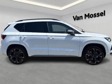 SPOTICAR Cupra Ateca 1.5 Tsi 110kw Dsg Occasions - Suv Essence Overig - Aarschot - 1200383796_5