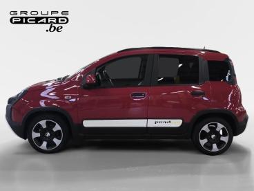 SPOTICAR Fiat Panda Pandina Cross Tweedehands - Monospace Benzine Red - Bastogne - 1200362263_2