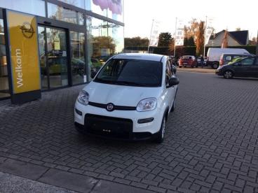 SPOTICAR Fiat Panda Hybrid Occasions - Monospace Essence Blanc - Putte - 400364764_1