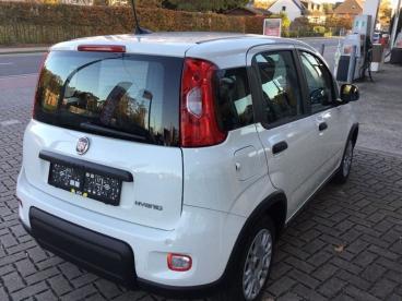 SPOTICAR Fiat Panda Hybrid Occasions - Monospace Essence Blanc - Putte - 400364764_3