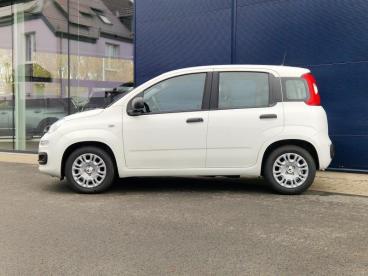 SPOTICAR Fiat Panda City Ii Occasions - Monospace Hybride White - Gembloux - 1200366190_2