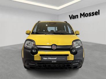SPOTICAR Fiat Panda 1.0 Hybrid 70 Mt6 Pandina Tweedehands - Monospace Benzine Geel - Sint-truiden - 1200368534_2