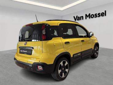 SPOTICAR Fiat Panda 1.0 Hybrid 70 Mt6 Pandina Tweedehands - Monospace Benzine Geel - Sint-truiden - 1200368534_4
