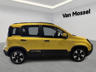 SPOTICAR Fiat Panda 1.0 Hybrid 70 Mt6 Pandina Tweedehands - Monospace Benzine Geel - Sint-truiden - 1200368534_5
