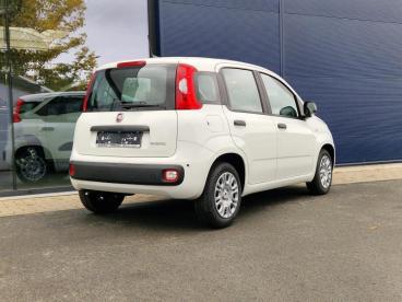 SPOTICAR Fiat Panda City Ii Occasions - Monospace Hybride White - Gembloux - 1200368665_4