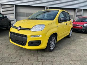 SPOTICAR Fiat Panda 1.0 Hybrid Pandina Tweedehands - Monospace Hybrid Yellow - Drongen - 1200369610_1