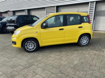 SPOTICAR Fiat Panda 1.0 Hybrid Pandina Tweedehands - Monospace Hybrid Yellow - Drongen - 1200369610_3