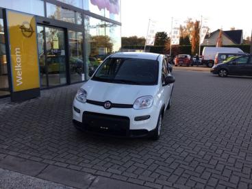 SPOTICAR Fiat Panda Hybrid Tweedehands - Monospace Benzine Blanc - Putte - 1200370768_1